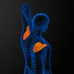 Weak humeral depressors