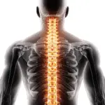 Thoracic stiffness reducing shoulder elevation mechanics